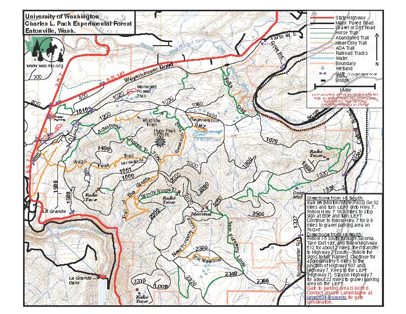 Pack Forest, Eatonville, WA